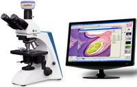 BK系列臨床、實(shí)驗(yàn)室生物顯微鏡